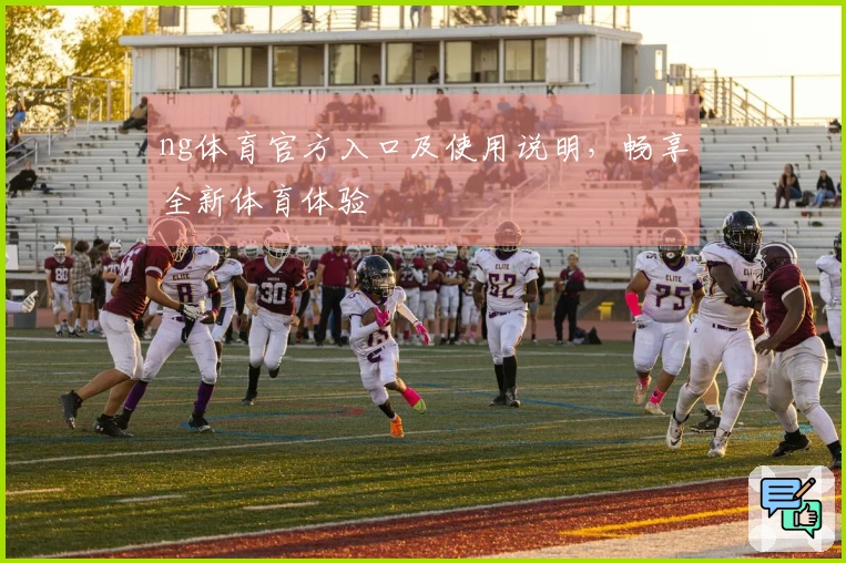 ng体育官方入口及使用说明，畅享全新体育体验