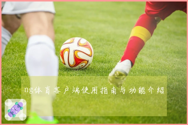 ng体育客户端使用指南与功能介绍