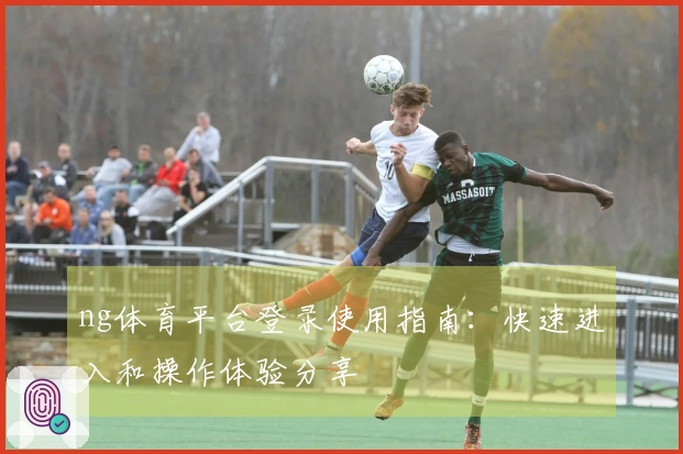 ng体育平台登录使用指南：快速进入和操作体验分享