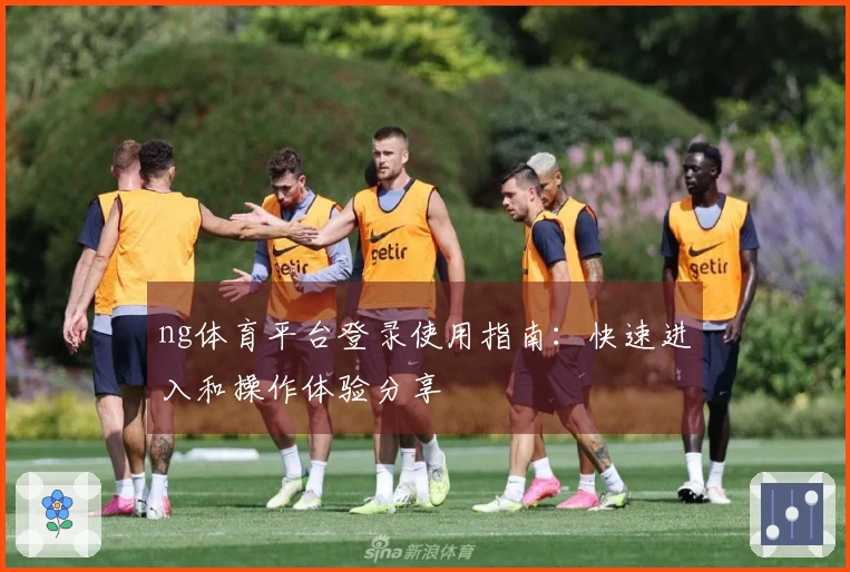 ng体育平台登录使用指南：快速进入和操作体验分享